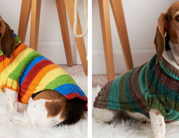 Let’s Go Rib Knit Doggy Sweater [FREE Knitting Pattern] | learnknittingonline.com