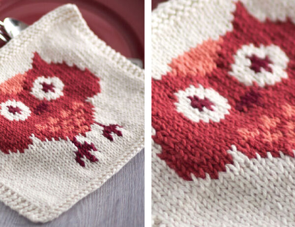 Knit Owl Dishcloth [FREE Knitting Pattern] | learnknittingonline.com