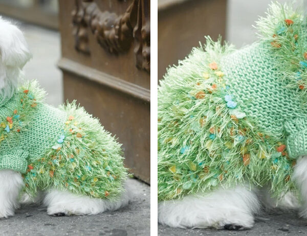 Turtleneck Knit Dog Sweater [FREE Knitting Pattern] | learnknittingonline.com