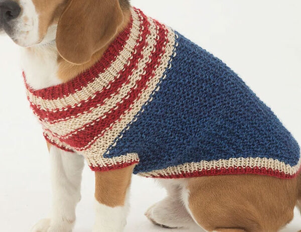Easy Dog Sweater Knitting Pattern [FREE Knitting Pattern] | learnknittingonline.com
